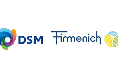 DSM-firmenich logo
